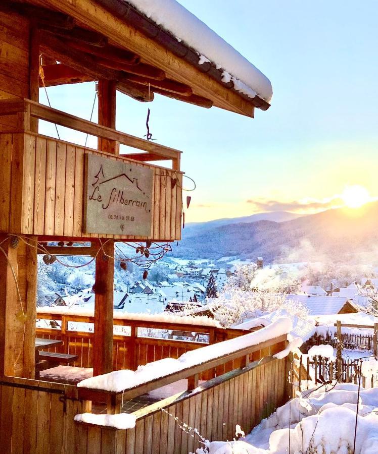 Chalet Du Silberrain Pres De Colmar - Cheminee, Sauna, Piscine Partagee Osenbach Eksteriør bilde