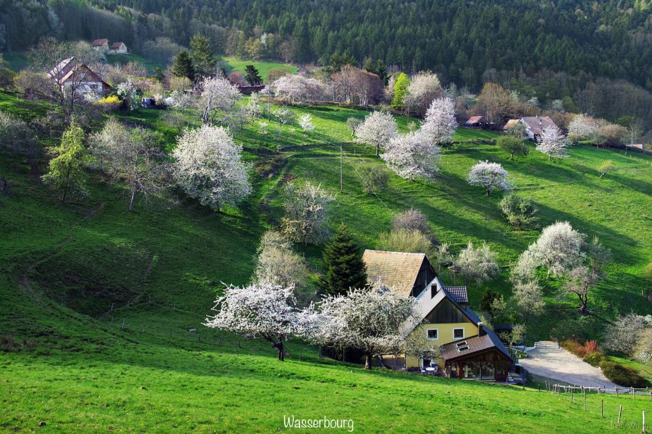 Chalet Du Silberrain Pres De Colmar - Cheminee, Sauna, Piscine Partagee Osenbach Eksteriør bilde