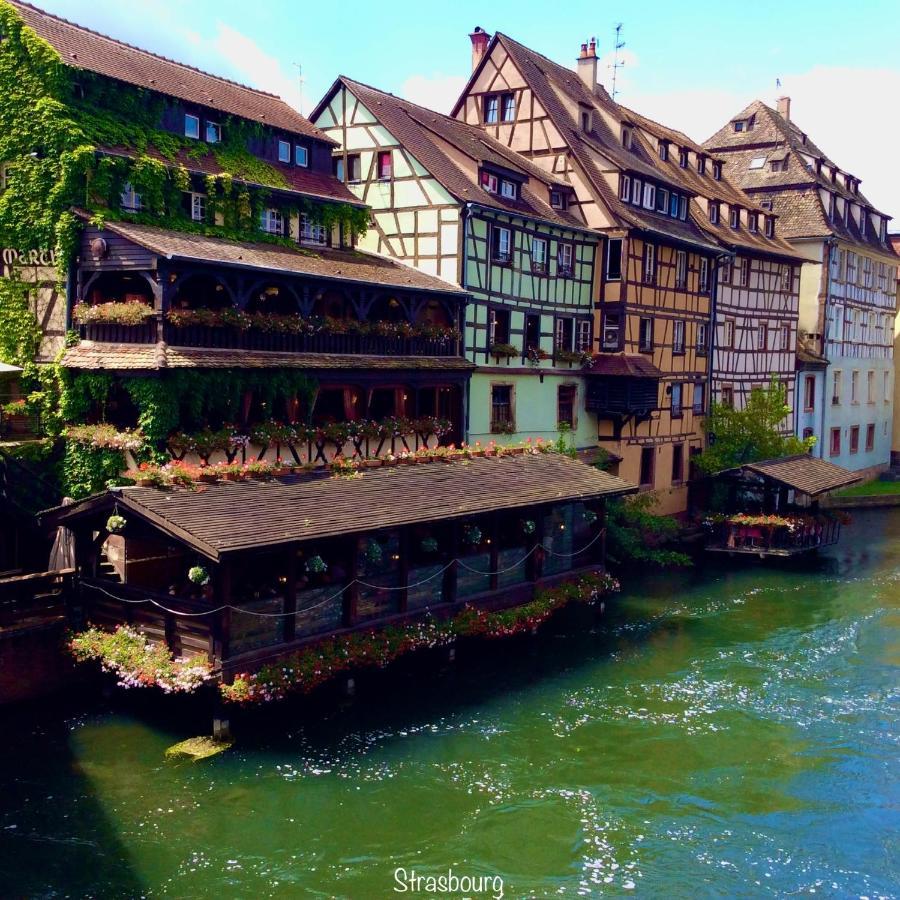 Chalet Du Silberrain Pres De Colmar - Cheminee, Sauna, Piscine Partagee Osenbach Eksteriør bilde