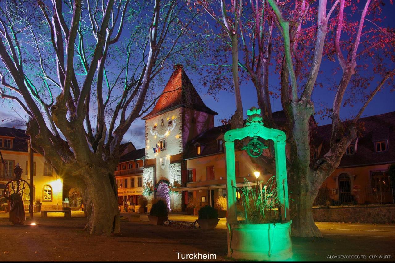 Chalet Du Silberrain Pres De Colmar - Cheminee, Sauna, Piscine Partagee Osenbach Eksteriør bilde