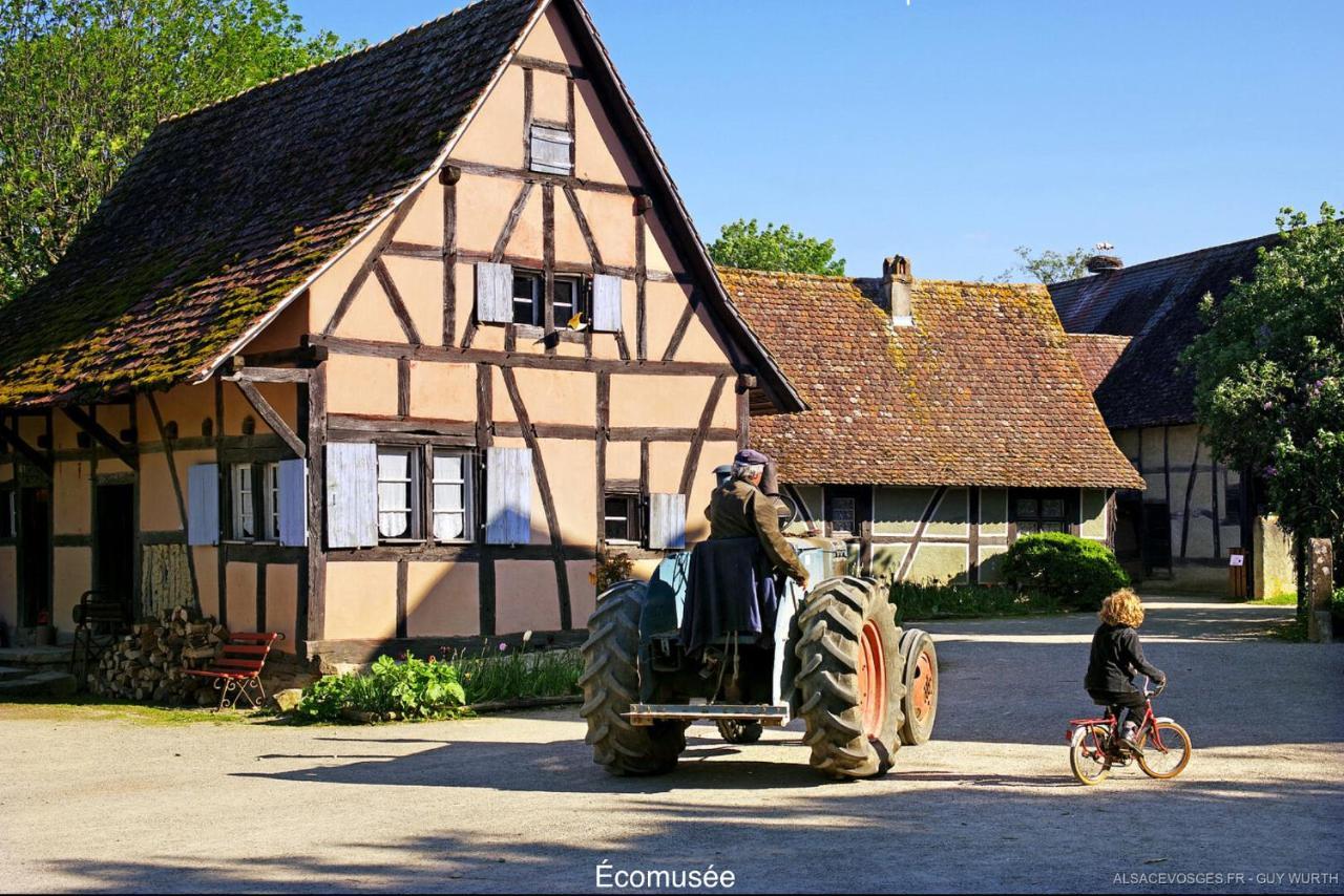 Chalet Du Silberrain Pres De Colmar - Cheminee, Sauna, Piscine Partagee Osenbach Eksteriør bilde