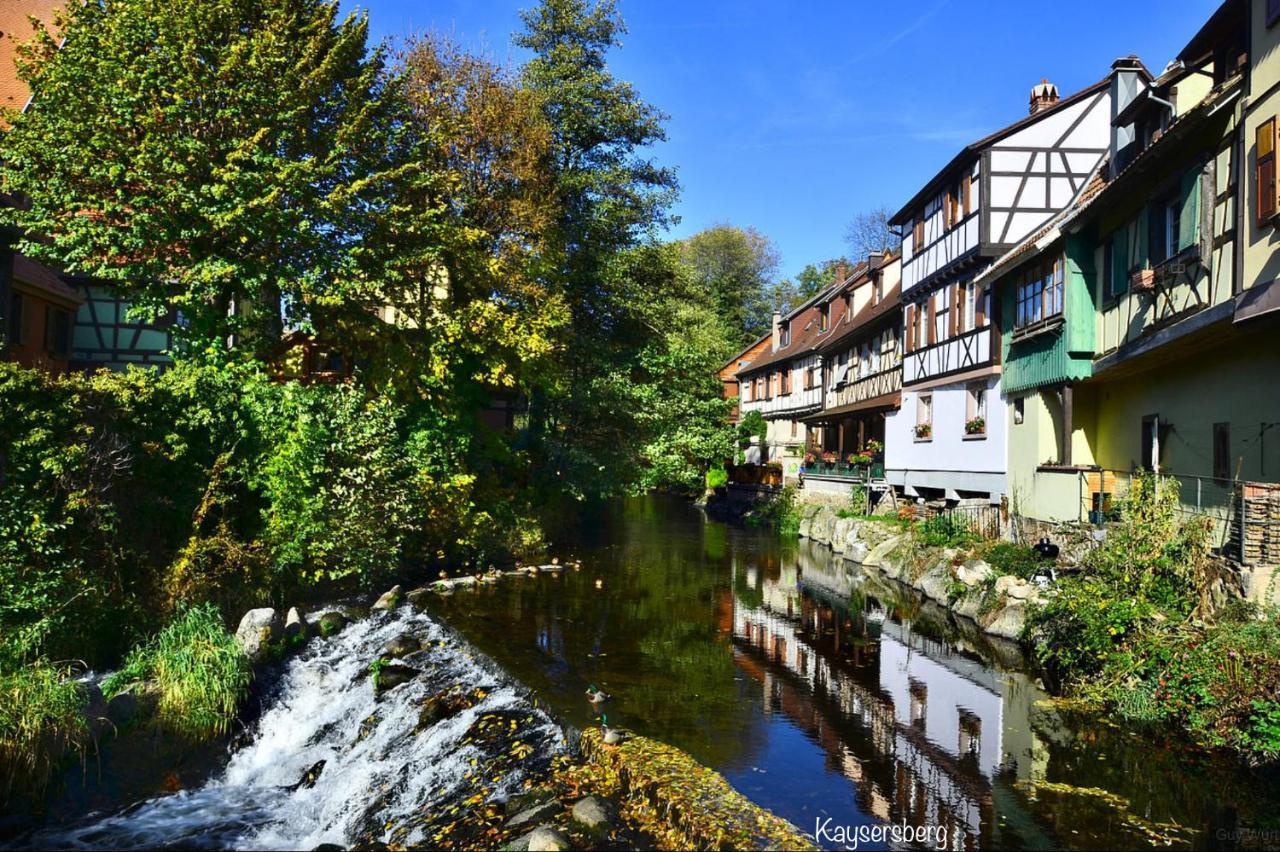 Chalet Du Silberrain Pres De Colmar - Cheminee, Sauna, Piscine Partagee Osenbach Eksteriør bilde